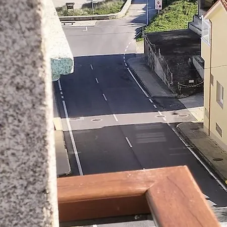 Vibesmalpica - Canido 12 Malpica