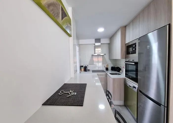 Vibesmalpica - Canido 12