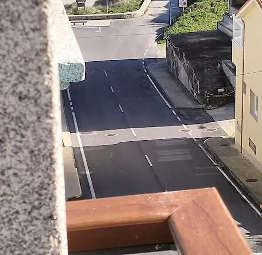 Vibesmalpica - Canido 12 Malpica