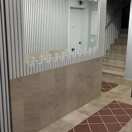 Vibesmalpica - Canido 12 马尔皮卡