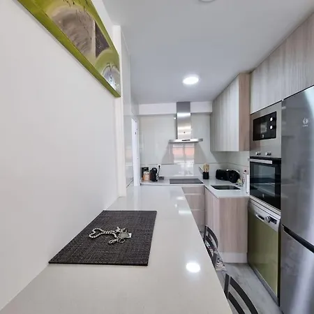 Vibesmalpica - Canido 12