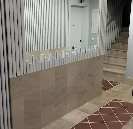 Vibesmalpica - Canido 12 Malpica