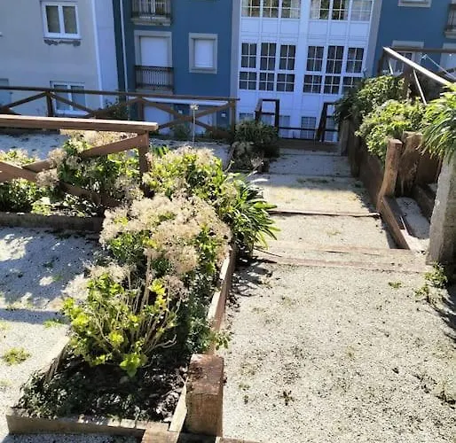 Vibesmalpica - Canido 12